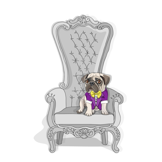 barking dogs professional dog grooming bath and tidy 1