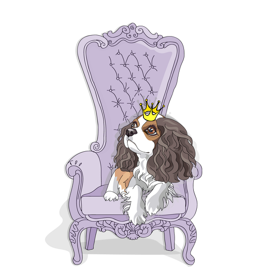 barking dogs professional dog grooming full groom 1