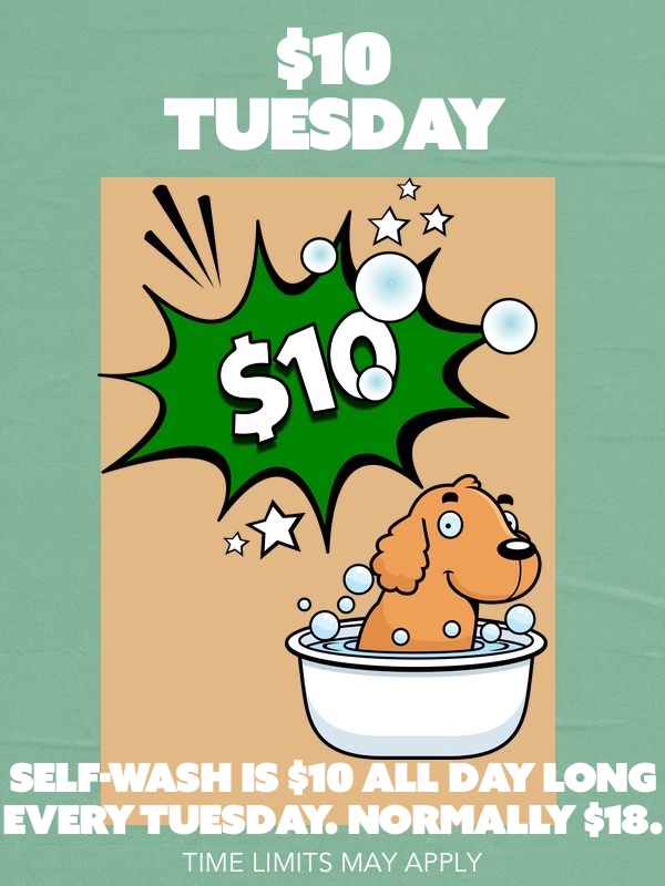Self-wash Tuesday Special
